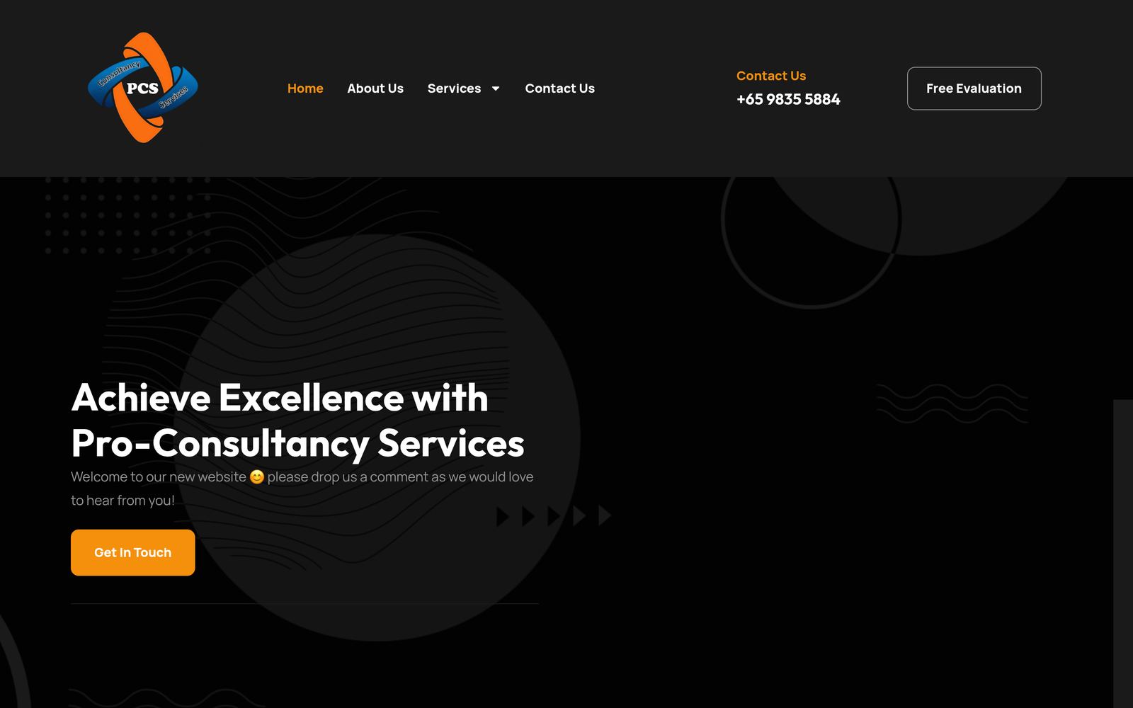Pro Consultancy Services LLP website